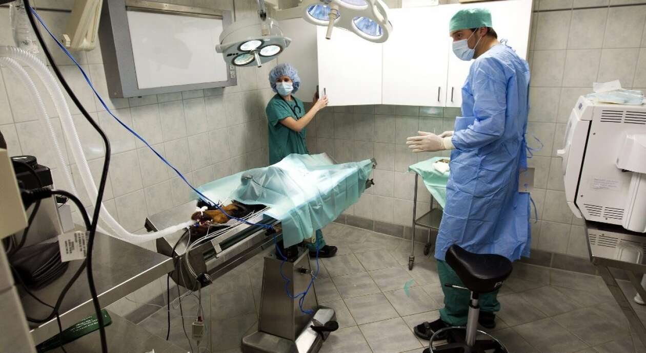 Romerikes Blad 3484932068_4404124a