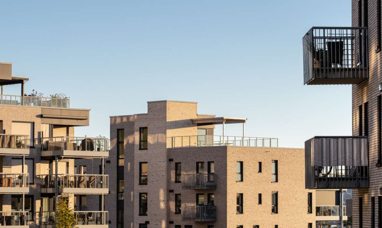 Haneborgåsen Panorama