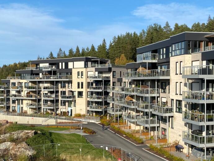 Haneborgåsen Panorama