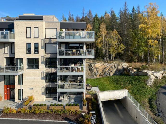 Haneborgåsen Panorama