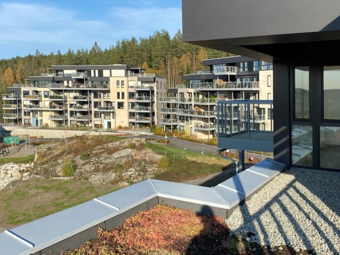 Haneborgåsen Panorama