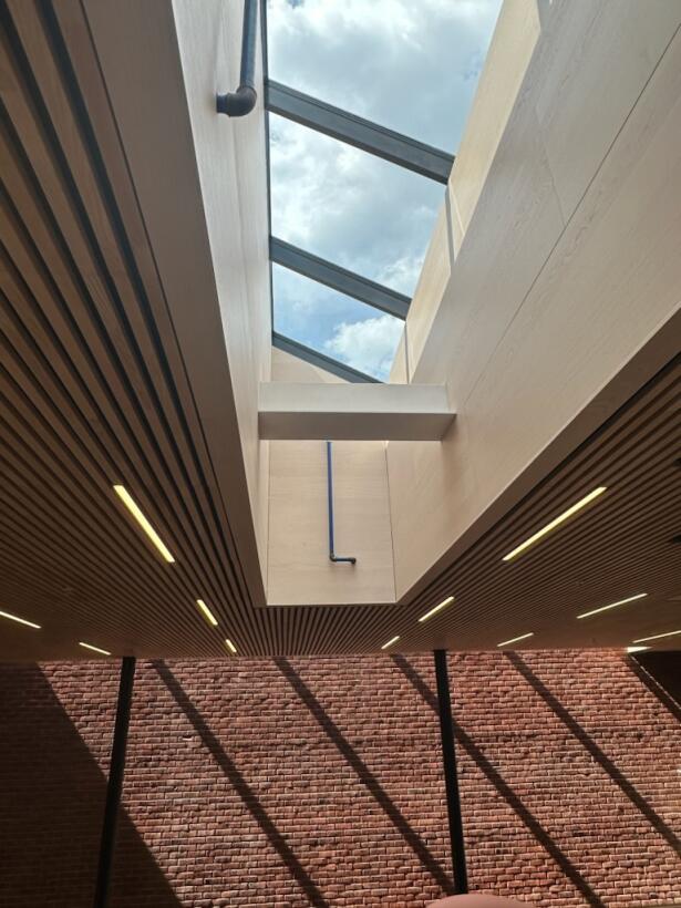 -1476635347906381746